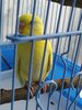 IMG_20250623_123903.jpg