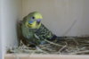DSC04686.JPG