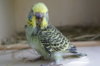 DSC04695.JPG