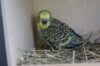 DSC04737.JPG