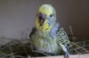 DSC04751.JPG