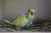 DSC04613.JPG