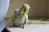 DSC04624.JPG