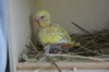 DSC04628.JPG