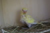 DSC04645.JPG