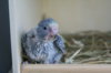 DSC04547.JPG