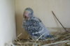 DSC04588.JPG