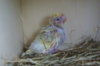 DSC04775.JPG