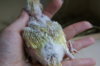 DSC04789.JPG