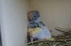 DSC04814.JPG