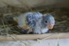 DSC04816.JPG