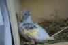 DSC04821.JPG