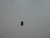 DSC02816.JPG