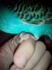 IMG_20150109_022130-1.jpg