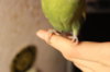 IMG_5765.JPG