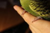 IMG_5766.JPG