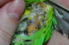 CSC_0965.JPG