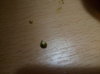 IMG_20160511_193848.jpg