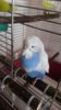 20160513_184652.jpg