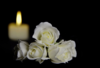 upload_2025-6-27_15-39-9.png