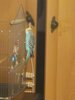 IMG_20250702_172831.jpg