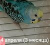 upload_2025-7-7_14-13-6.jpeg