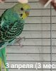 upload_2025-7-7_14-14-7.jpeg