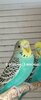 upload_2025-7-7_14-15-21.jpeg