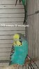 upload_2025-7-7_14-16-34.jpeg