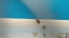 upload_2025-7-7_15-30-16.jpeg
