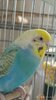 upload_2025-7-7_15-30-32.jpeg