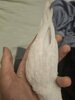 20250717_141941.jpg
