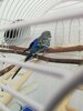 IMG_20250719_084014.jpg