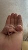 IMG_8076.jpeg