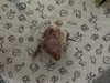 IMG_1649.jpeg