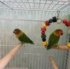 IMG_7772.jpeg