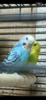 IMG_1910.png
