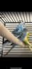 IMG_1909.png