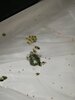 IMG_20250815_201849.jpg