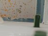 IMG_20250819_141838.jpg