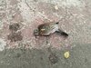 IMG_20250909_173617.jpg