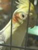 IMG_3815.jpeg