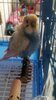 Videoframe_20250916_105816_com.huawei.himovie.overseas.jpg