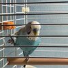 IMG_20250916_201148.jpg