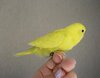 DSC_9116.JPG