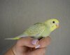 DSC_9156.JPG