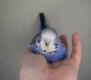 DSC_9244.JPG