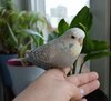 DSC_9475.JPG