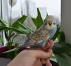DSC_1873.JPG