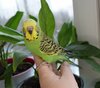 DSC_1828.JPG